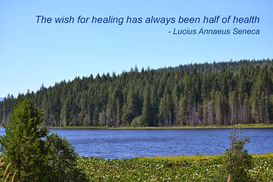 The Wish For Healing has Always Been Half of Health | BeLiteWeight