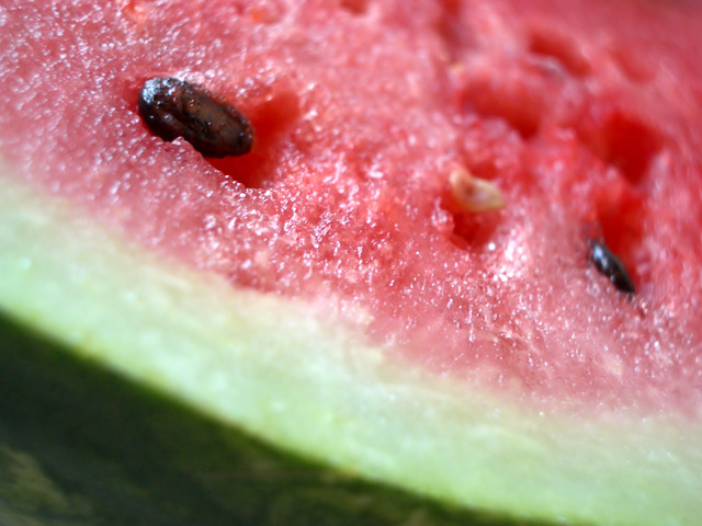 watermelon-1549431-640x480