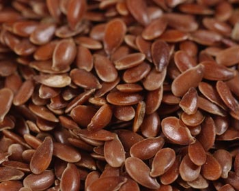Flax Seed and Your Diet