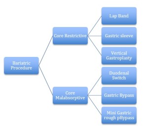 vsg weight loss surgery gastric sleeve